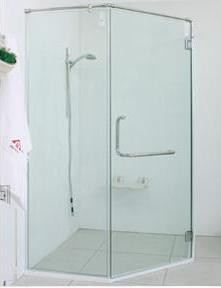 Frameless Shower Screen 17