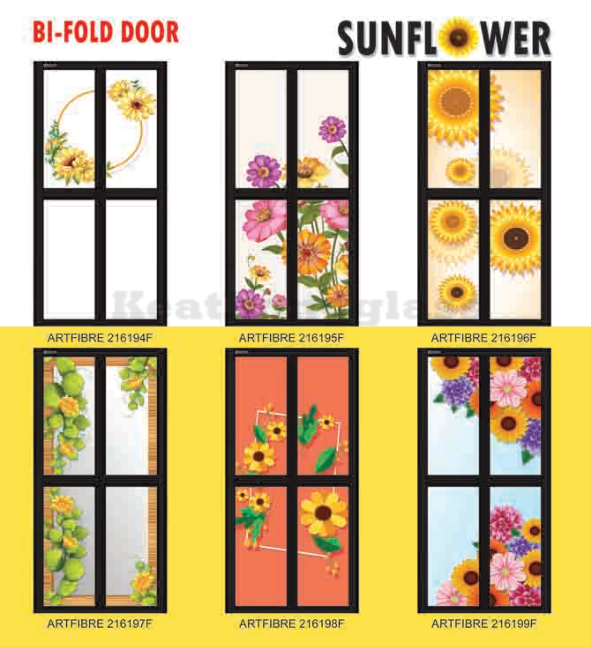 Bifold Door 7