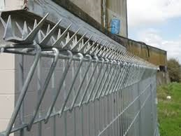 Anti Climb Fencing 4