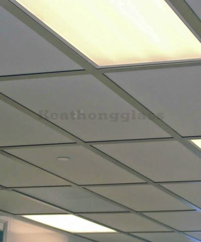 Suspended Ceiling 6